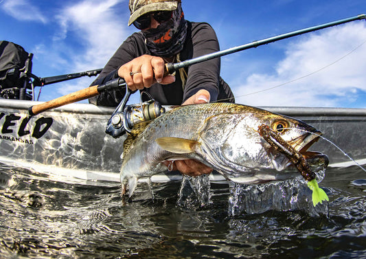 Best Gear Ratio for Inshore Saltwater Spinning Reels