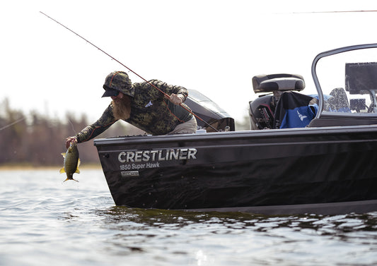 Bass fishing in summer