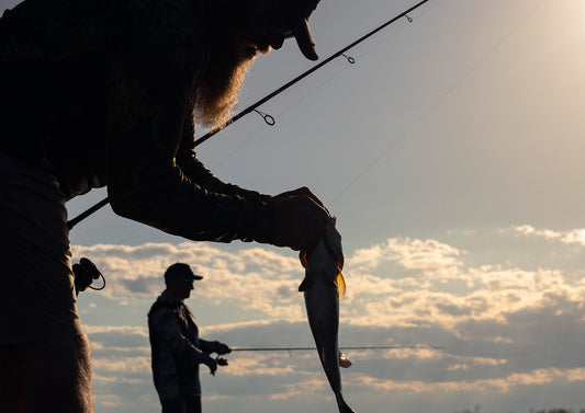 Best Bass Fishing Combo
