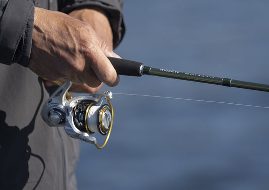 Spinning fishing reel gear ratio