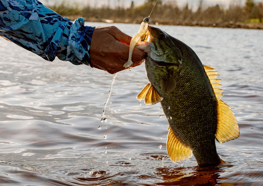 Choose Saltwater Rigs