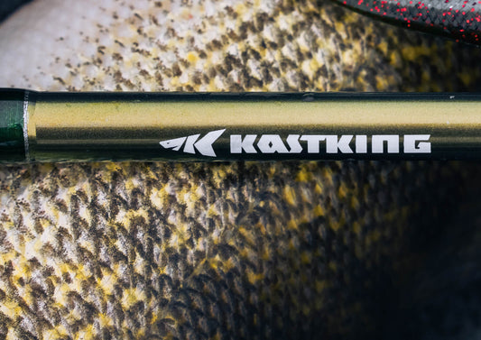 Best Freshwater Fishing Rods