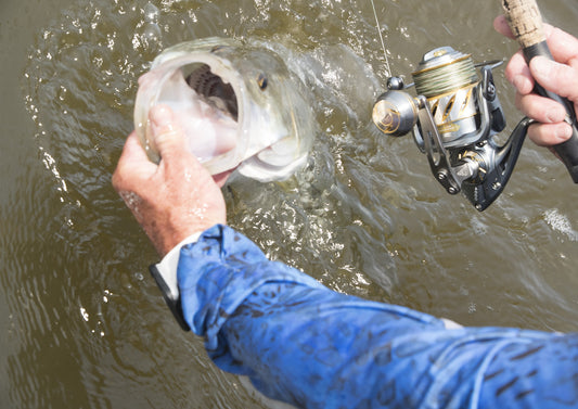 Baitcaster Reels and Spinning Reels