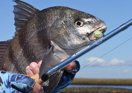 Best Inshore Spinning Rod
