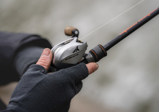 baitcaster gear ratio