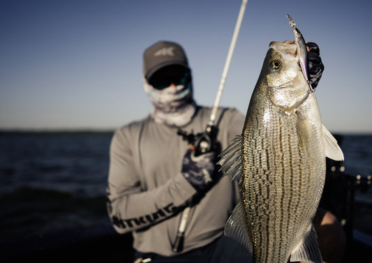 KastKing baitcasting reels for vertical jigging in both saltwater and freshwater areas.