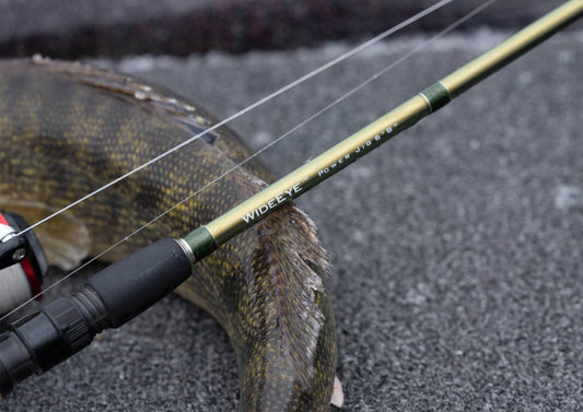 Best Fishing Rods Under $100