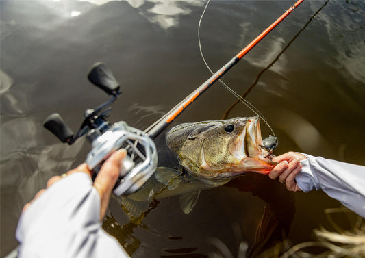 kastking carolina rig fishing rod kastking kasptan elite baitcasting reel largemouth bass on frog lure