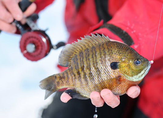 Best Ice Fishing Rods - Ice Fishing Is Fun