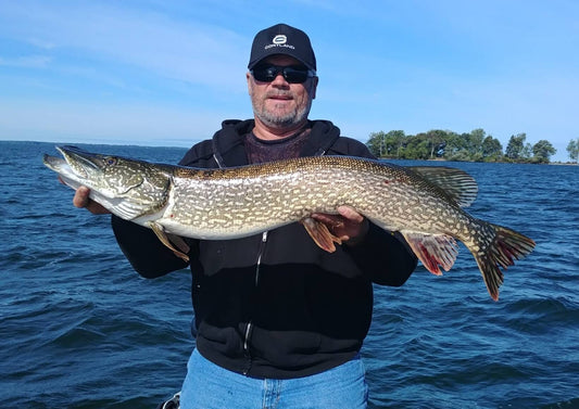 Large Northern Pike caught in early spring at Cortland