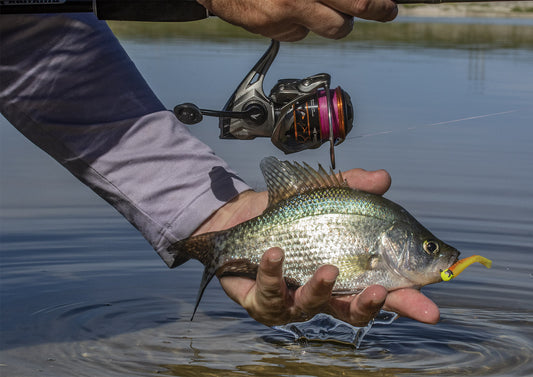 Best Bait Finesse Fishing Rod and Reel Combos