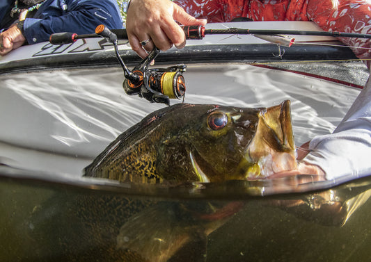 Type of Fishing Reels - Which One is Right For You?