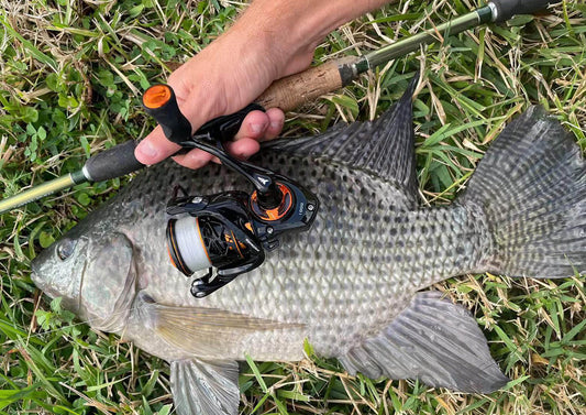 best spinning reels