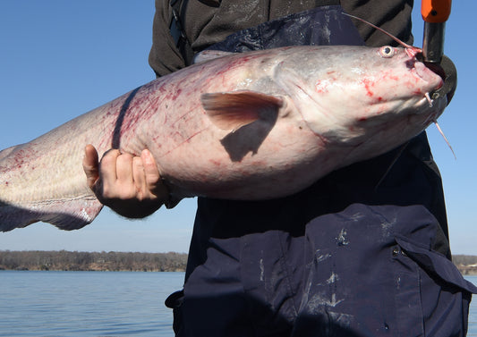 Right Braided Fishing Line for Catfishing
