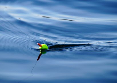 Five "Must Have" Soft Plastics