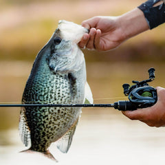 KastKing Kestrel Fishing Rod