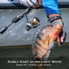KastKing Kestrel Fishing Rod