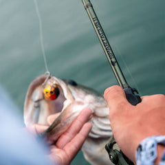 KastKing Spartacus II Fishing Rods