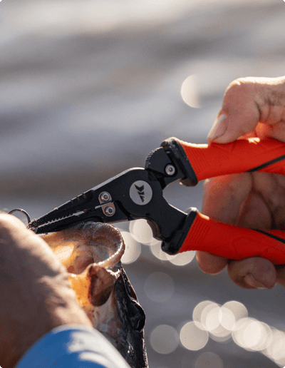 Tools & Accessories